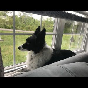 Meet your Posher, Angie